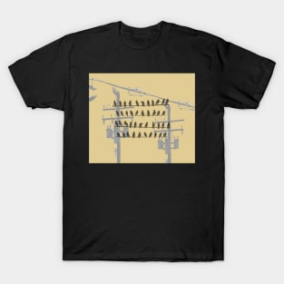 Birds On A Wire - Gold T-Shirt